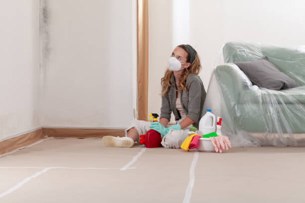 Reliable Mold Testing contractor in Lutz, FL by WQB Mold Removal
